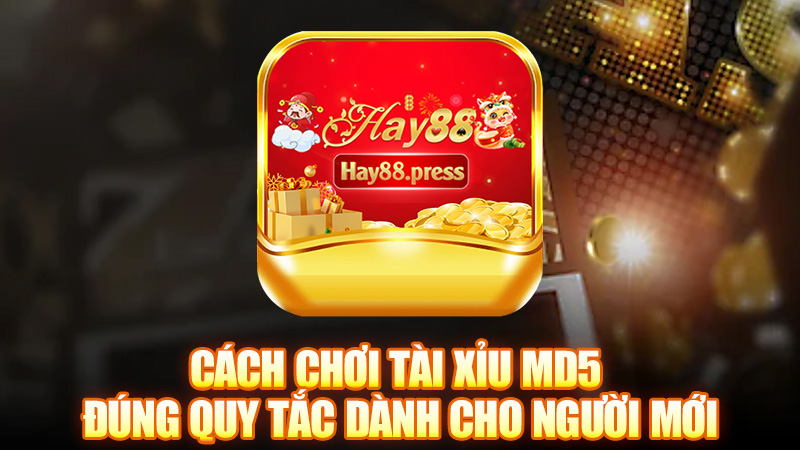 Cách Chơi Tài Xỉu Md5 Đúng Quy Tắc Dành Cho Người Mới